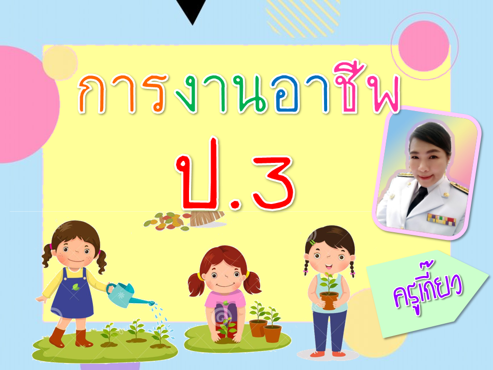 การงานอาชีพ ป.3