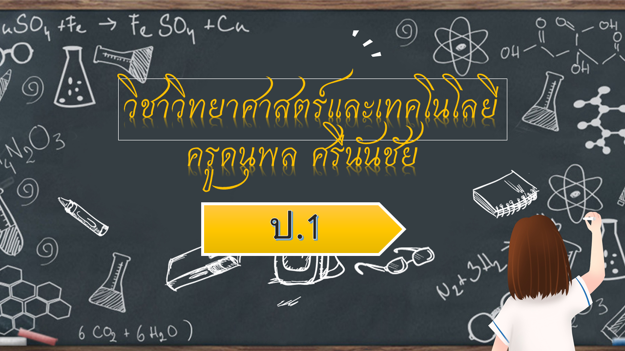 วิทยาศาสตร์ ป.1